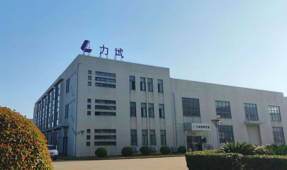 pp电子集团（LSI）